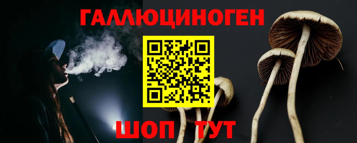 Галлюциногенные грибы GOLDEN TEACHER  Вход с VPN  Дербент 